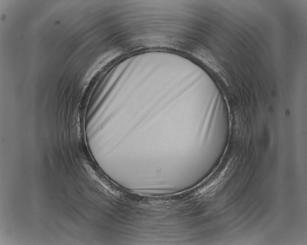 X0000065250782200603031802