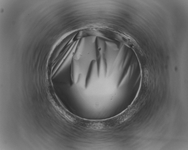 X0000065250784200603031802