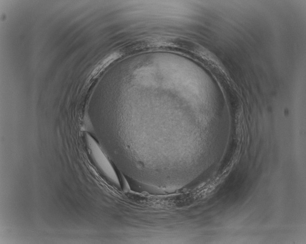 X0000065250785200603031802