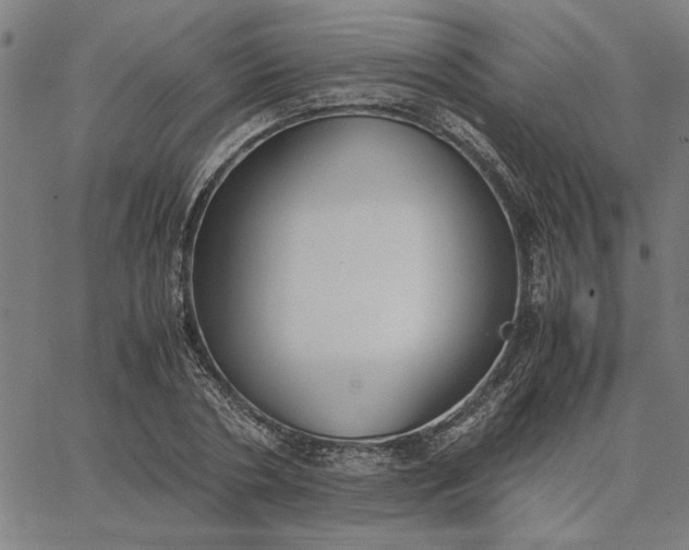 X0000065250786200603031802