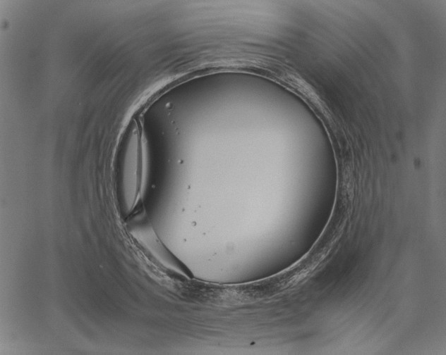 X0000065250787200603031802