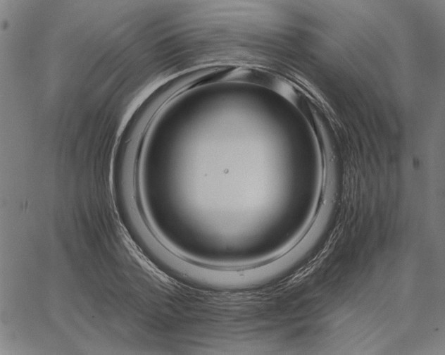 X0000065250788200603031802