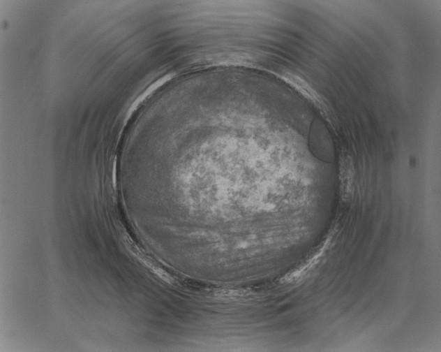 X0000065250790200603031802