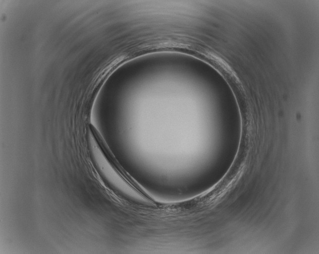 X0000065250793200603031802