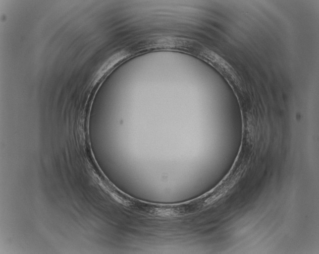 X0000065250794200603031802