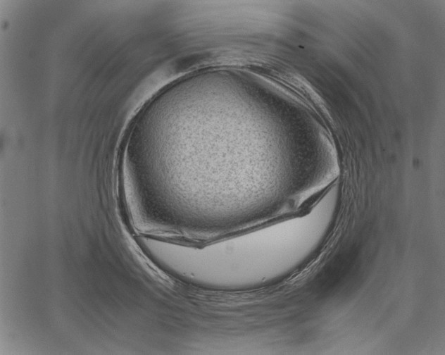 X0000065250795200603031802