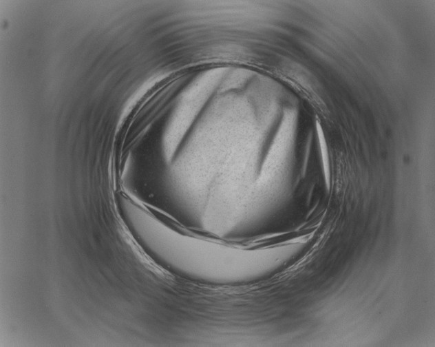 X0000065250796200603031802