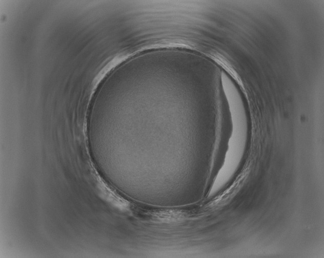 X0000065250797200603031802