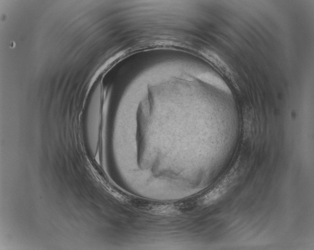 X0000065250798200603031802