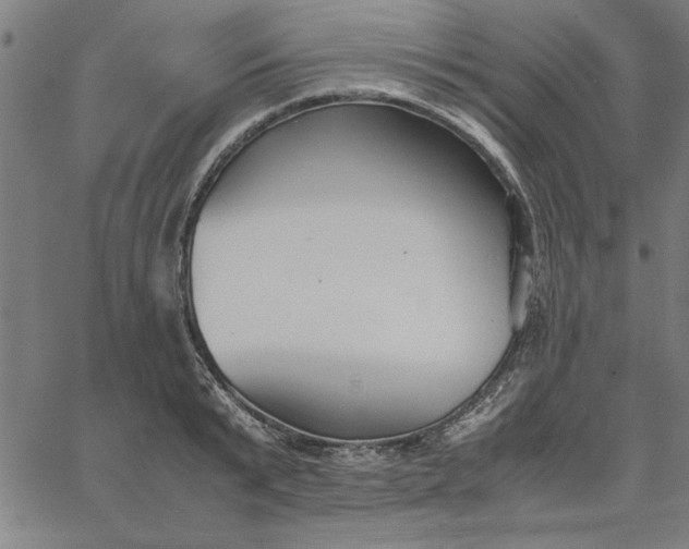 X0000065250799200603031802