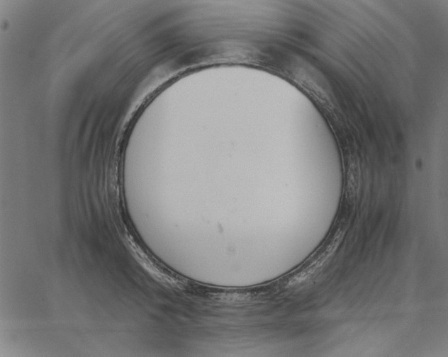 X0000065250800200603031802