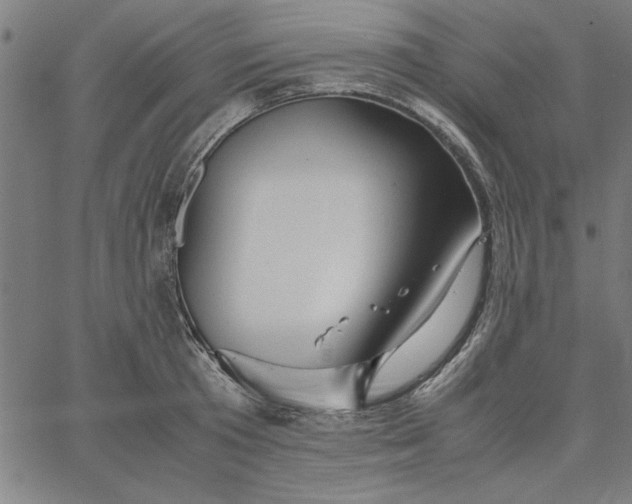 X0000065250801200603031802