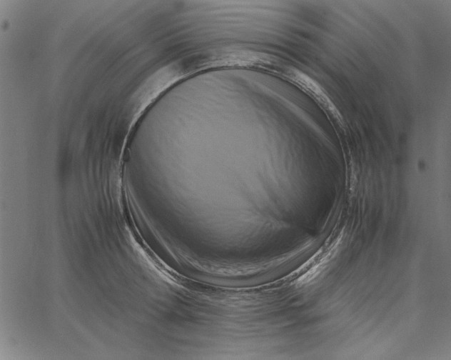 X0000065250802200603031802