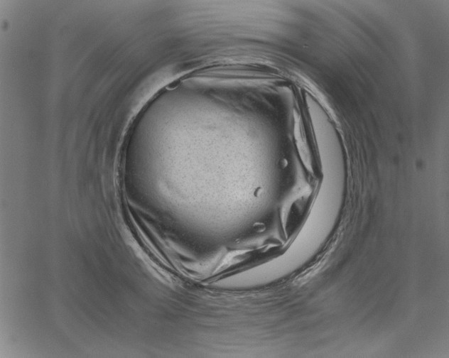 X0000065250803200603031802