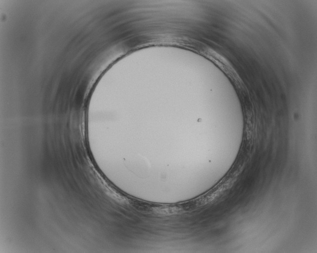 X0000065250804200603031802