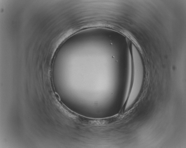 X0000065250805200603031802