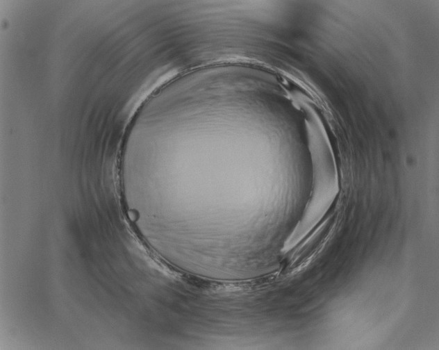 X0000065250806200603031802