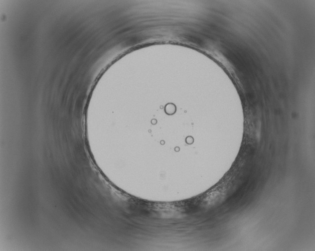 X0000065250807200603031802