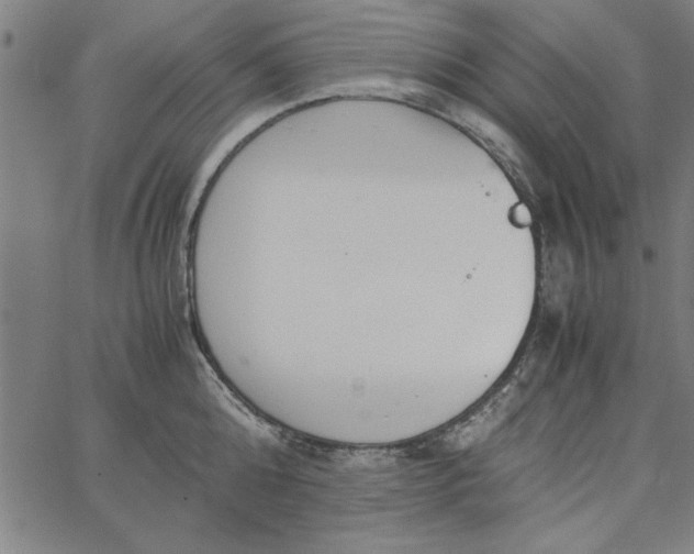 X0000065250808200603031802