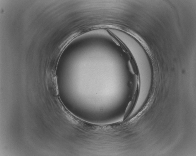 X0000065250809200603031802