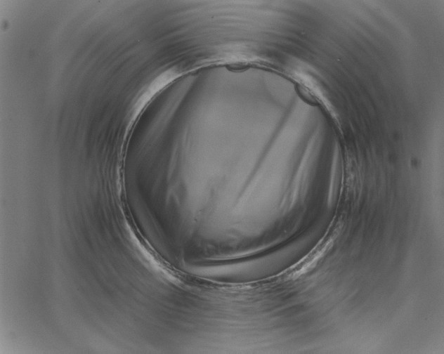 X0000065250810200603031802