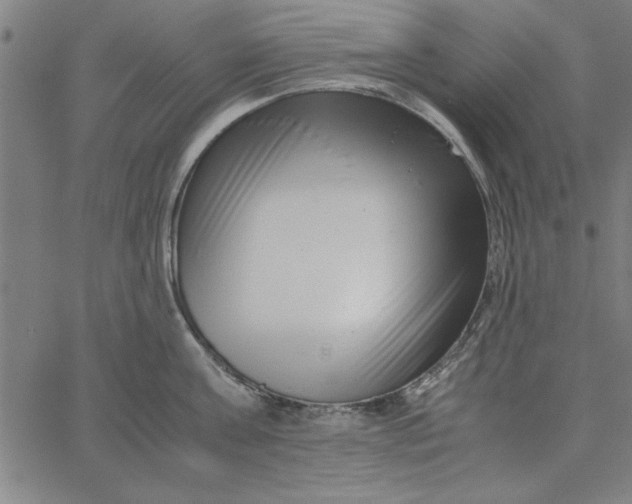 X0000065250811200603031802