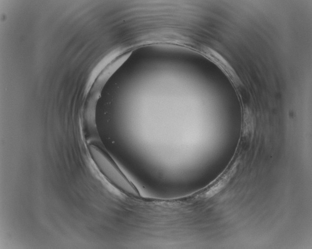 X0000065250812200603031802