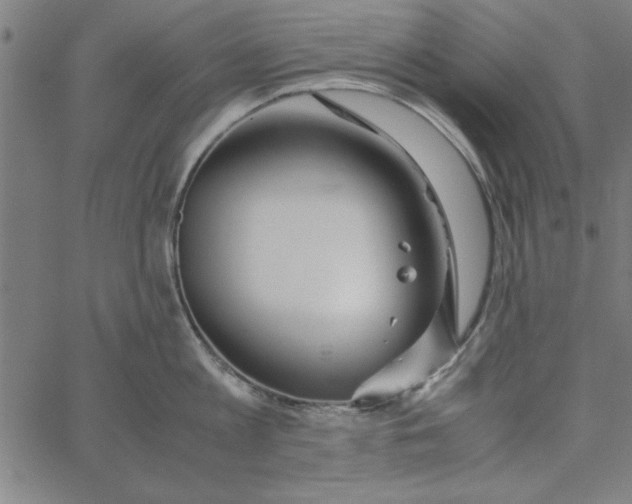 X0000065250813200603031802