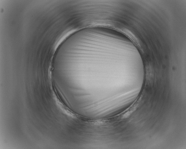 X0000065250814200603031802