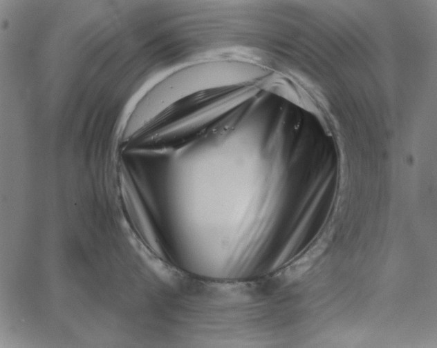 X0000065250816200603031802