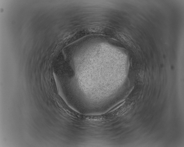 X0000065250817200603031801