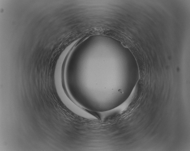 X0000065250818200603031801