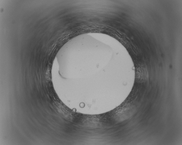 X0000065250820200603031801