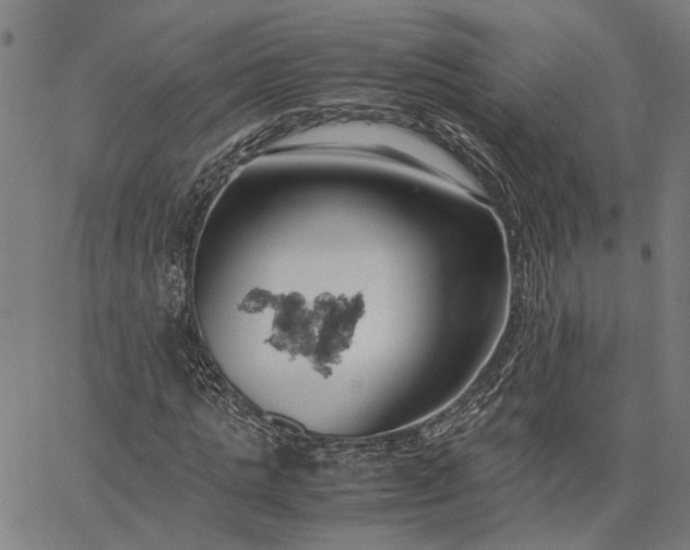 X0000065250821200603031801