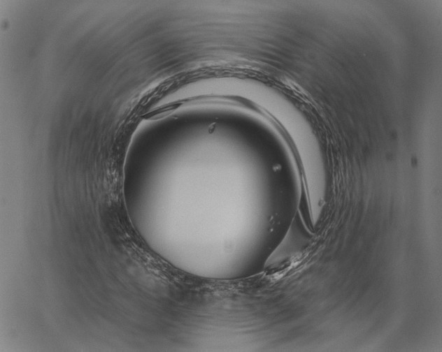 X0000065250822200603031801