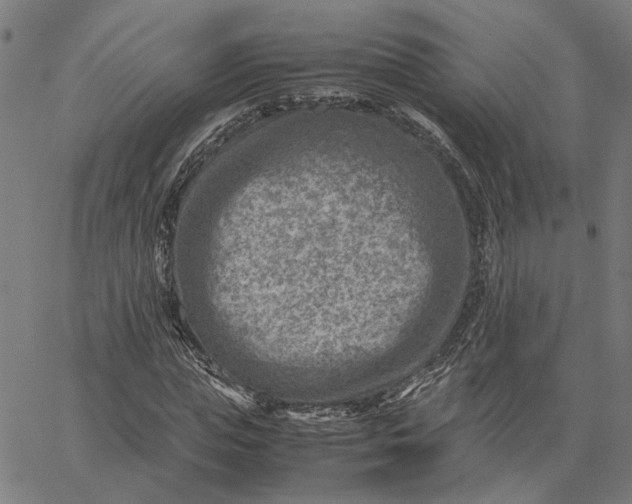 X0000065250823200603031801