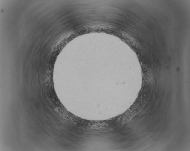 X0000065250824200603031801