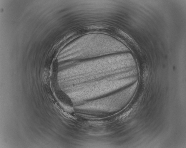 X0000065250825200603031801