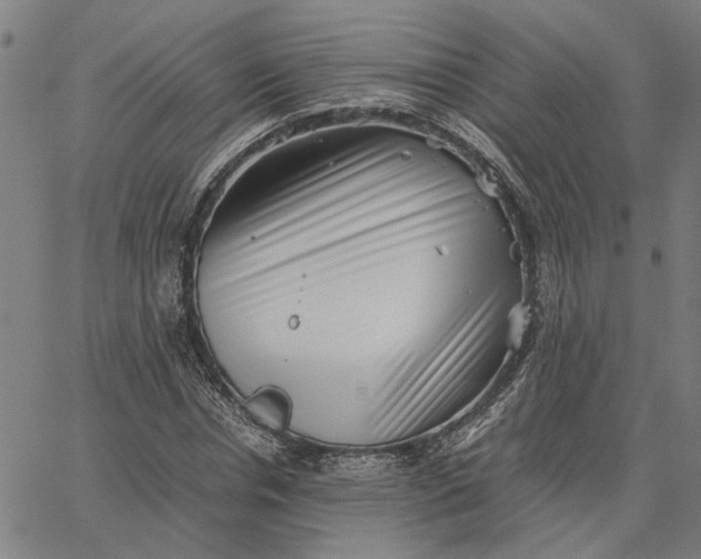 X0000065250826200603031801