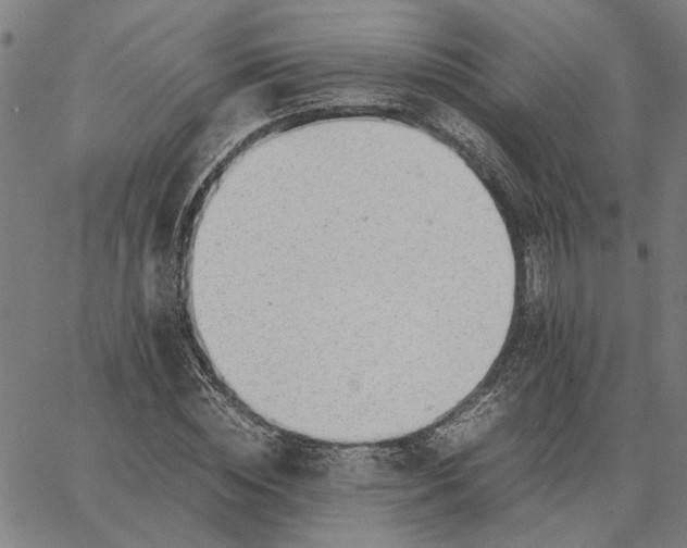 X0000065250828200603031801