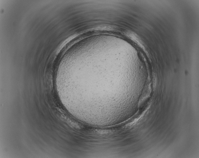 X0000065250829200603031801