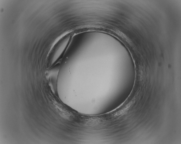 X0000065250830200603031801