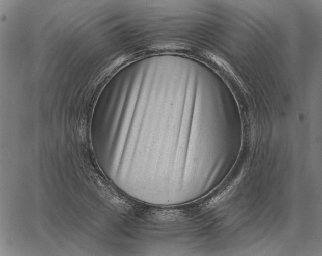 X0000065250833200603031801