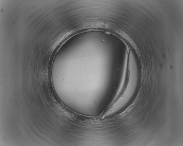 X0000065250834200603031801