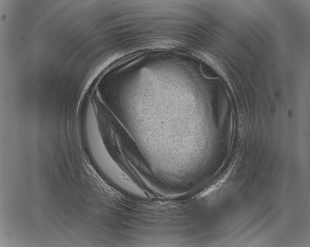 X0000065250835200603031801