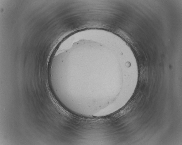 X0000065250836200603031801