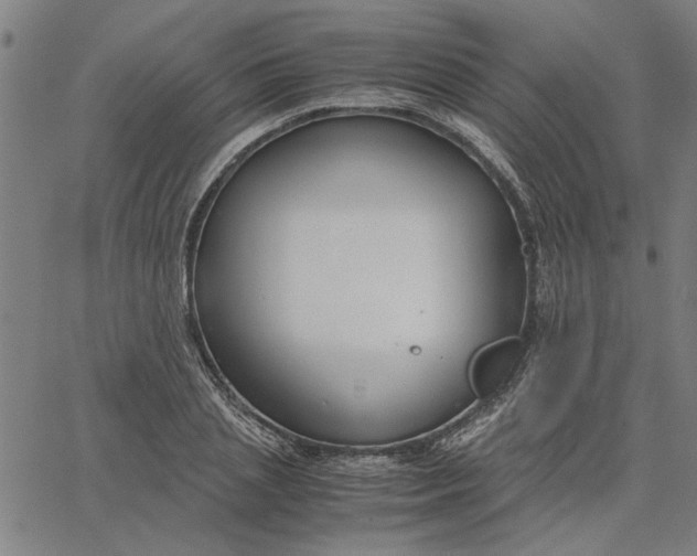 X0000065250837200603031801