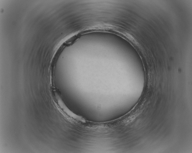 X0000065250838200603031801