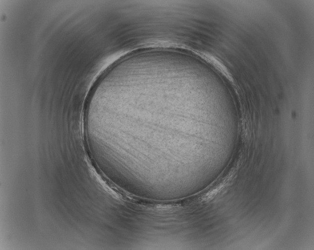 X0000065250839200603031801