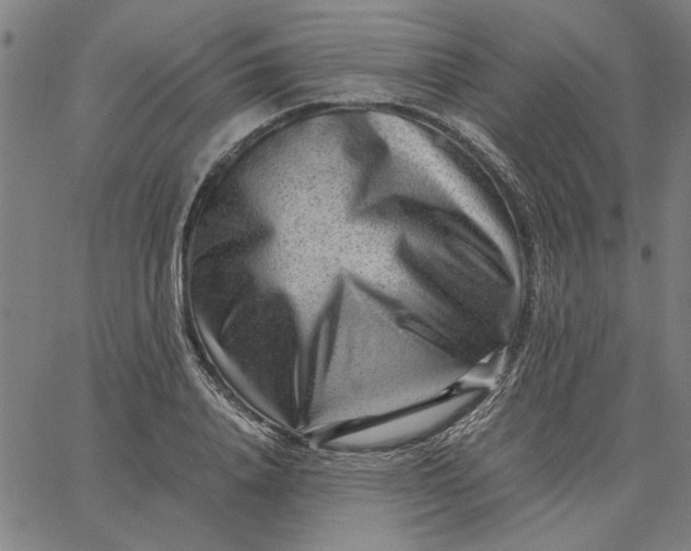 X0000065250840200603031801